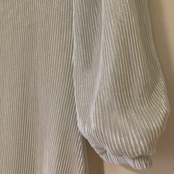 Elegant Pleated Dress - Picture 3 of 5